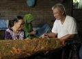 BRI Salurkan KUR Rp 69,8 T untuk Dorong Sektor Produksi Debitur UMKM