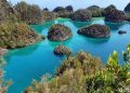 Pertimbangan Rasionalitas dalam Ekonomi dan Ekologi