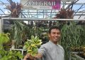 Kisah Klaster Usaha Tanaman Hias Binaan BRI yang Inspiratif