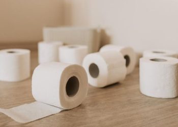 Mengapa Orang Barat Menggunakan Tisu untuk Cebok, Bukan Air? Inilah Penjelasannya