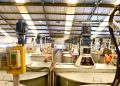 Laba Emiten Cat Tembus Rp 7825 Miliar di Surabaya