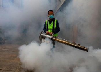 Serangan Nyamuk Mematikan, 3000 Korban Jiwa di Kota yang Menjadi Kuburan