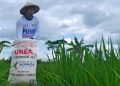 Hidrogen sebagai Pupuk Inovatif untuk Meningkatkan Ketahanan Pangan Baru