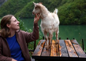 24 Tahun Gen Z Peternak Kambing Ini Terpilih Menjadi Anggota Dewan