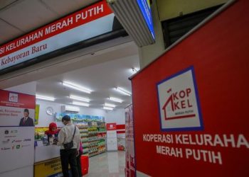 Motor Ekonomi Baru atau Beban untuk Desa?