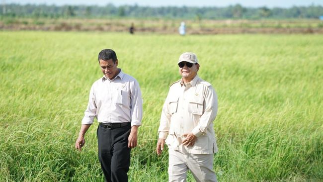 Belajar dari Soeharto, Prabowo Wujudkan Swasembada Beras dalam Setahun