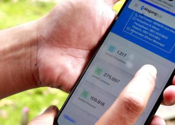 Program Magang Nasional, Peran Kampus dan Gambaran Ketenagakerjaan Indonesia