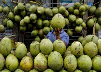 7 Waktu Terbaik untuk Minum Air Kelapa yang Harus Diketahui