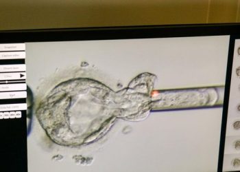 Rekor Dunia Baru Bayi Lahir dari Embrio Beku Selama 31 Tahun