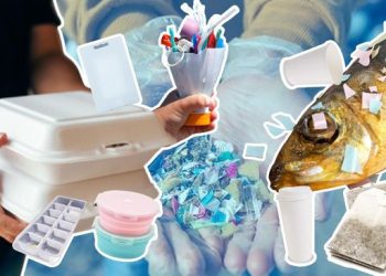 Warga RI Terbanyak Konsumsi Mikroplastik di Dunia, Ketahui Sumbernya