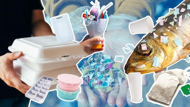 Warga RI Terbanyak Konsumsi Mikroplastik di Dunia, Ketahui Sumbernya