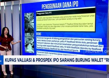 Valuasi dan Prospek IPO Sarang Burung Walet RLCO