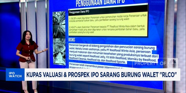 Valuasi dan Prospek IPO Sarang Burung Walet RLCO