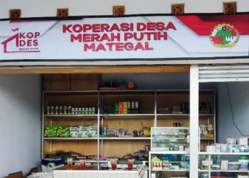 Permodalan Koperasi Desa: Peluang dan Risiko yang Perlu Diketahui
