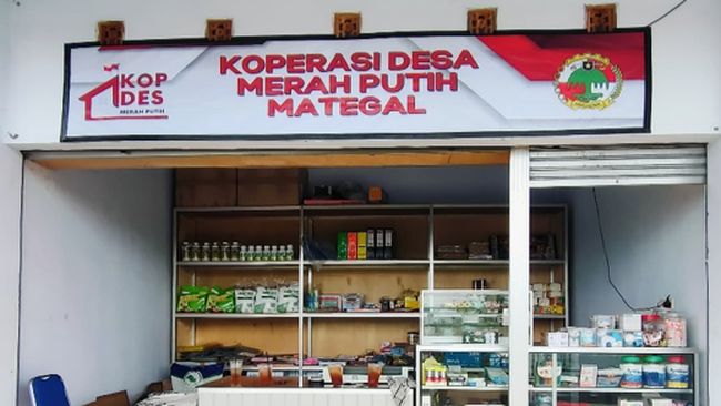 Permodalan Koperasi Desa: Peluang dan Risiko yang Perlu Diketahui