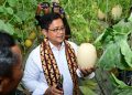 Dorong Pemasaran Produk UMKM di Kawasan Transmigrasi Bali